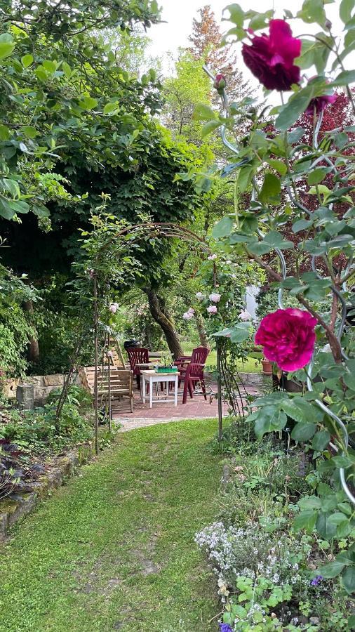 Carolinga Daire Dresden Dış mekan fotoğraf